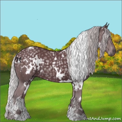 Horse Color:White Spotted Chocolate Silver Black Chinchilla