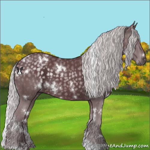 Horse Color:White Spotted Chocolate Silver Black Chinchilla 