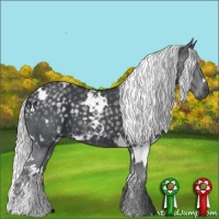 Horse Color:White Spotted Silver Black Chinchilla 