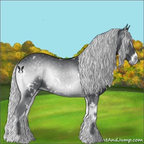 Horse Color:White Spotted Silver Blue Onyx Chinchilla