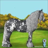 Horse Color:White Spotted Silver Black Chinchilla 