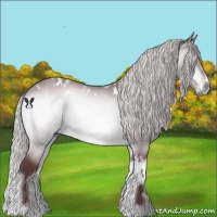 Horse Color:White Spotted Chocolate Silver Brown Chinchilla Onyx 