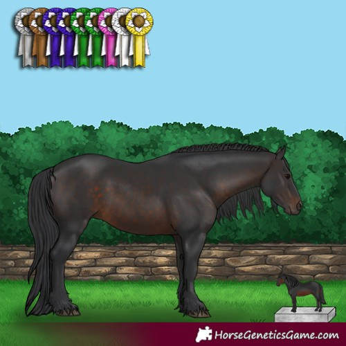 Horse Color:Brown 