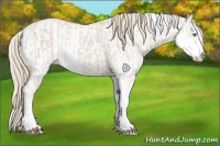 Horse Color:Smoky Creme Sabino  and Smoky Creme Sabino 
