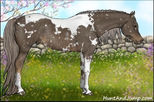 Horse Color:White Spotted Chocolate Palomino Tobiano Rabicano