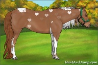 Horse Color:Chestnut Tobiano 
