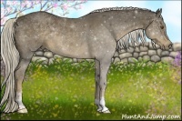 Horse Color:Chocolate Palomino Sabino Rabicano