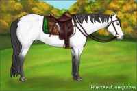 Horse Color:Platinum Buckskin Roan Dun 
