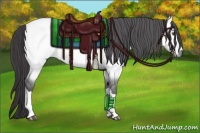 Horse Color:Platinum Buckskin Dun 