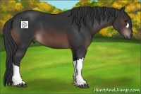 Horse Color:Brown 