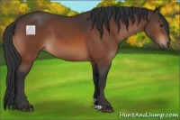 Horse Color:Brown 