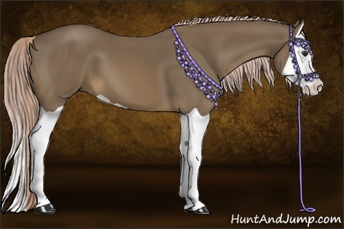 Horse Color:Chocolate Palomino Splash 