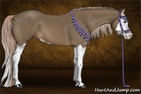 Horse Color:Chocolate Palomino Splash