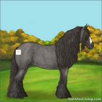 Horse Color:Smoky Blue Roan