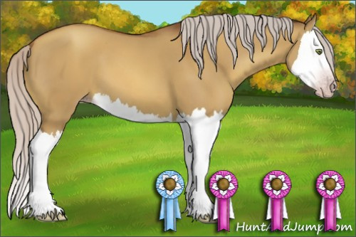 Horse Color:Gray Silver Amber Champagne Dun Splash 