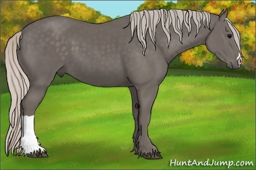 Horse Color:Silver Black 
