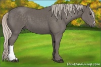 Horse Color:Silver Black
