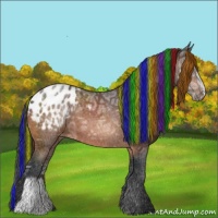 Horse Color:Painted Bay Ice Appaloosa 