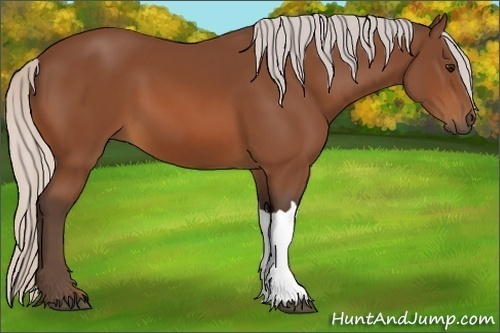 Horse Color:Silver Bay
