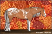 Horse Color:Bay Splash Tobiano Appaloosa  and Silver Bay Splash Tobiano Appaloosa 