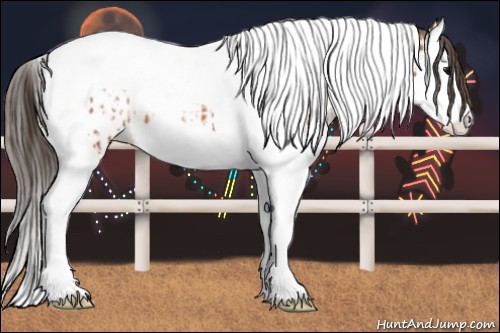 Horse Color:Bay Splash Tobiano Appaloosa  and Bay Splash Tobiano Appaloosa 