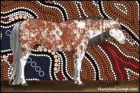 Horse Color:Bay Sabino  and Bay Sabino 