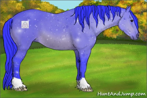 Horse Color:Watercolor Bay 