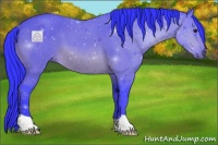 Horse Color:Watercolor Bay 