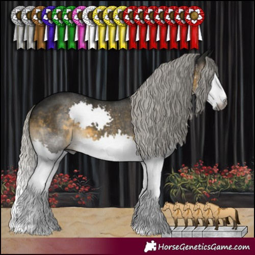 Horse Color:Gray White Spotted Silver Buckskin Splash Rabicano 