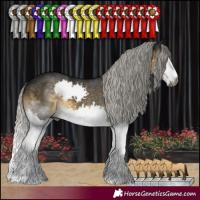 Horse Color:Gray White Spotted Silver Buckskin Splash Rabicano