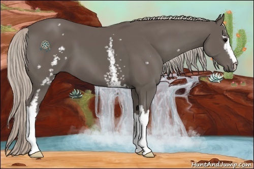 Horse Color:White Spotted Silver Black 