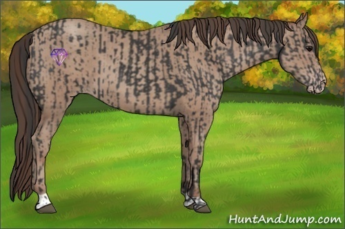 Horse Color:Black and Classic Champagne