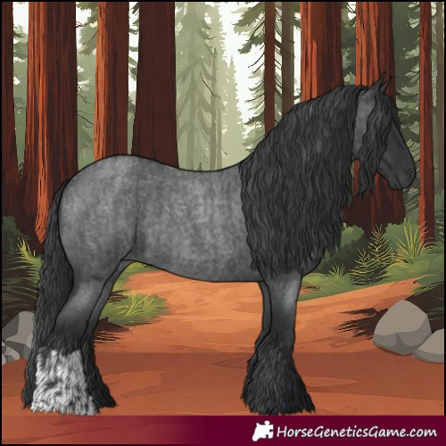 Horse Color:Blue Roan  and Blue Roan 