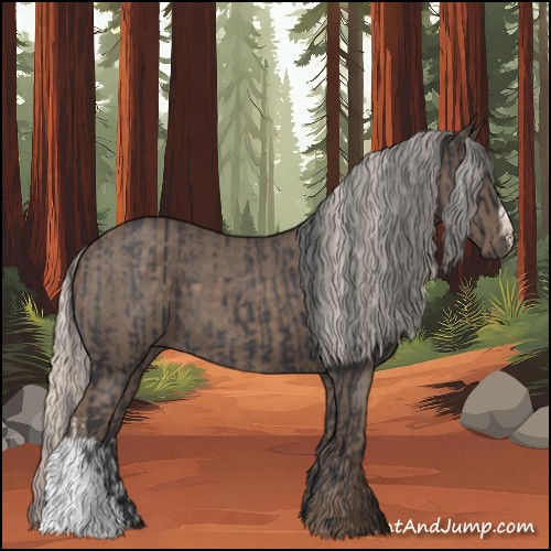 Horse Color:Blue Roan and Silver Blue Roan
