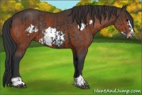 Horse Color:Black Frame and Brown Frame