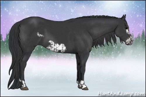 Horse Color:Black  and Black Frame 