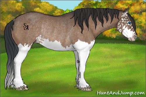 Horse Color:Brown Dun Splash Rabicano