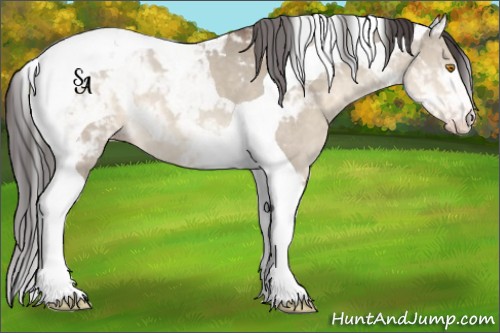Horse Color:Sable Champagne Dun Tobiano 