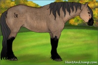 Horse Color:Void Brown Roan Dun Splash 