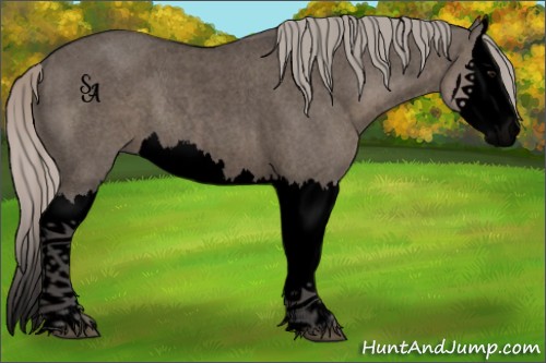 Horse Color:Void Silver Grullo Roan Splash