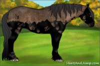 Horse Color:Void Brown Roan Dun Sabino Splash 