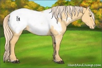 Horse Color:Palomino Dun Sabino Snowcap 