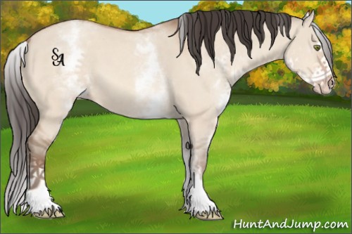 Horse Color:White Spotted Amber Champagne Dun Sabino Splash 