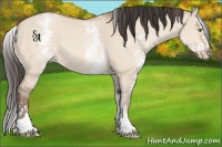 Horse Color:White Spotted Amber Champagne Dun Sabino Splash 