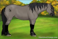 Horse Color:Void Grullo Sabino Splash 