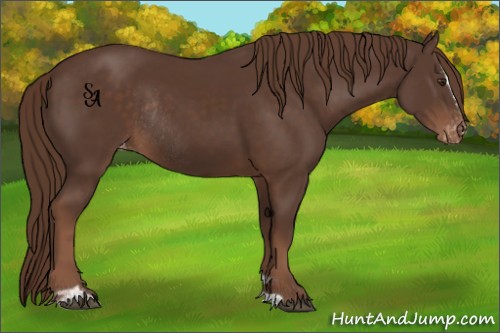 Horse Color:Liver Chestnut Sabino Varnish Rabicano