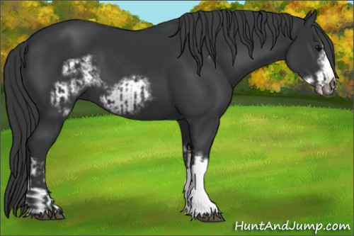 Horse Color:Black  and Black Frame 