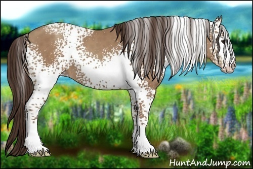 Horse Color:White Spotted Classic Champagne 