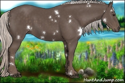 Horse Color:White Spotted Silver Black 