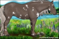 Horse Color:White Spotted Silver Black 